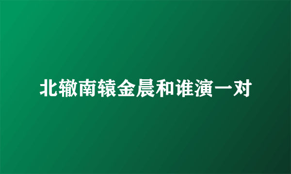 北辙南辕金晨和谁演一对