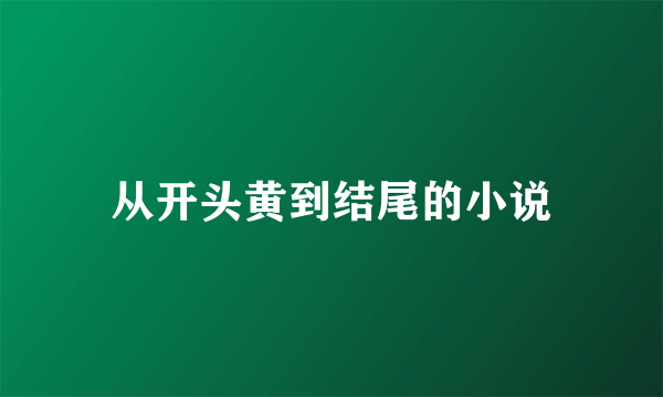 从开头黄到结尾的小说