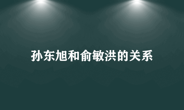 孙东旭和俞敏洪的关系