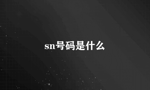 sn号码是什么