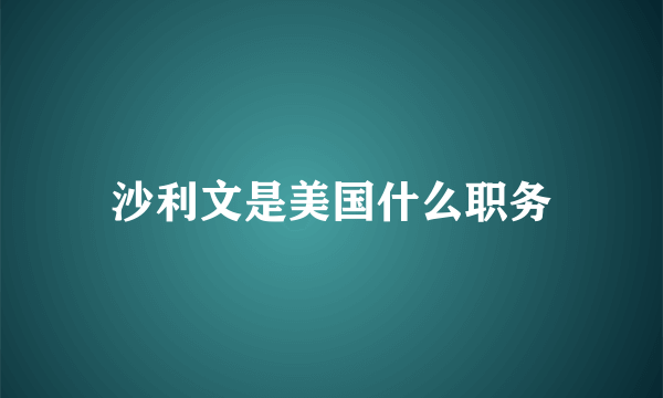 沙利文是美国什么职务