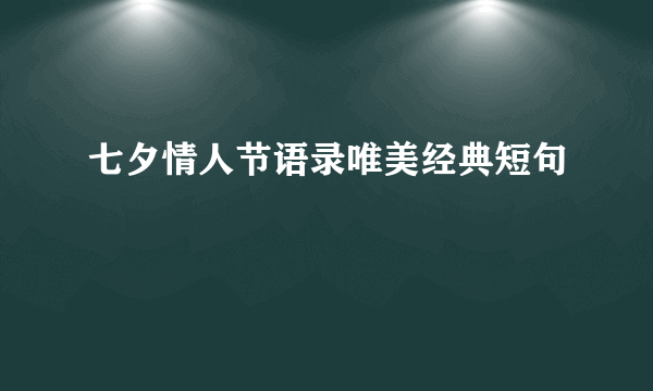 七夕情人节语录唯美经典短句