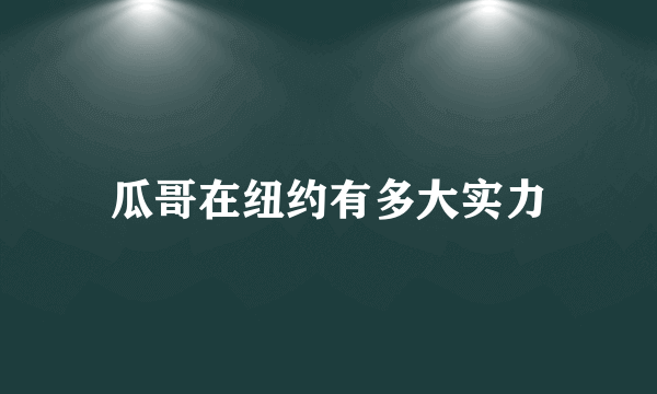 瓜哥在纽约有多大实力