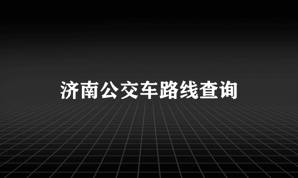 济南公交车路线查询