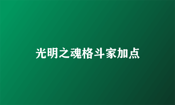 光明之魂格斗家加点