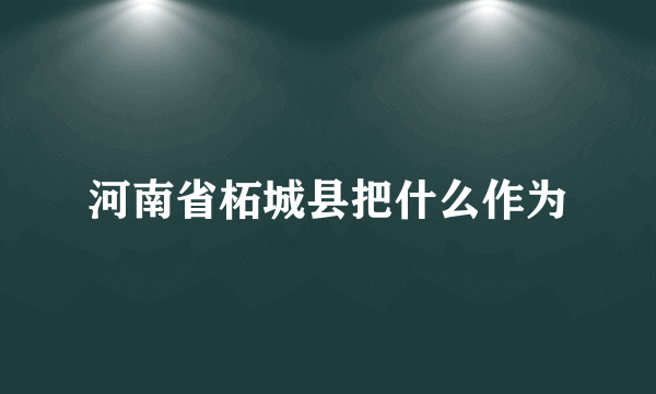 河南省柘城县把什么作为