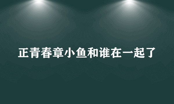 正青春章小鱼和谁在一起了