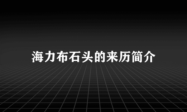 海力布石头的来历简介