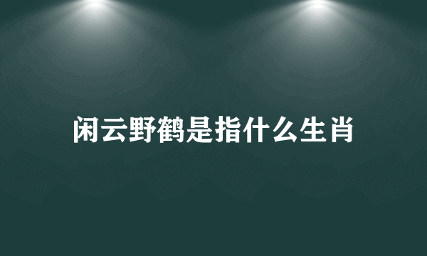 闲云野鹤是指什么生肖