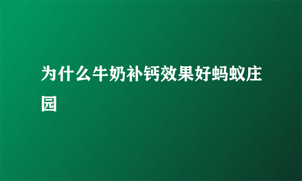 为什么牛奶补钙效果好蚂蚁庄园