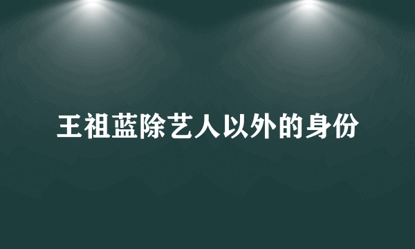 王祖蓝除艺人以外的身份