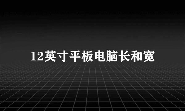 12英寸平板电脑长和宽