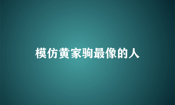 模仿黄家驹最像的人