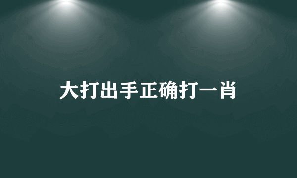 大打出手正确打一肖