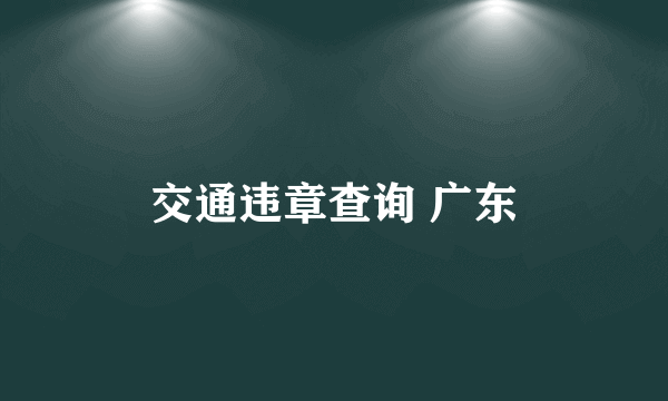 交通违章查询 广东