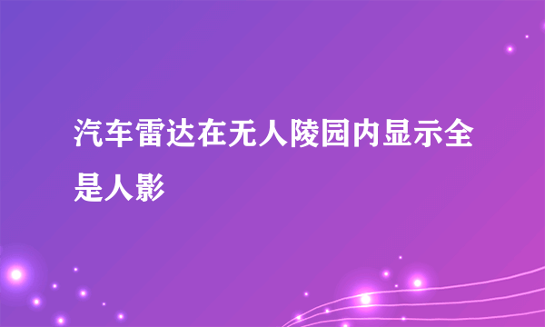 汽车雷达在无人陵园内显示全是人影