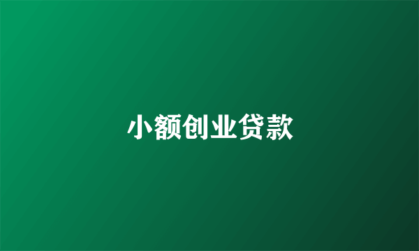 小额创业贷款