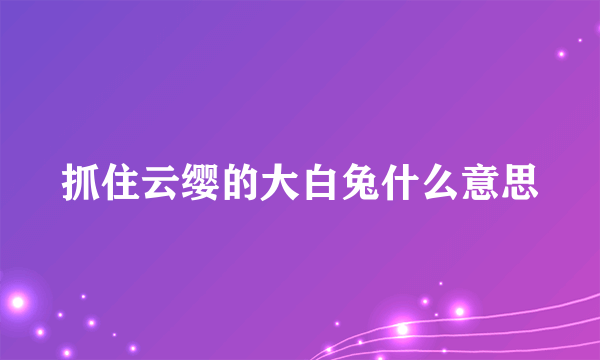 抓住云缨的大白兔什么意思