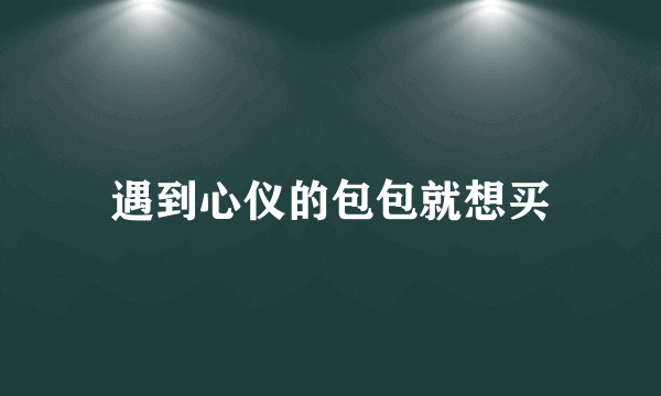 遇到心仪的包包就想买