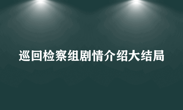 巡回检察组剧情介绍大结局