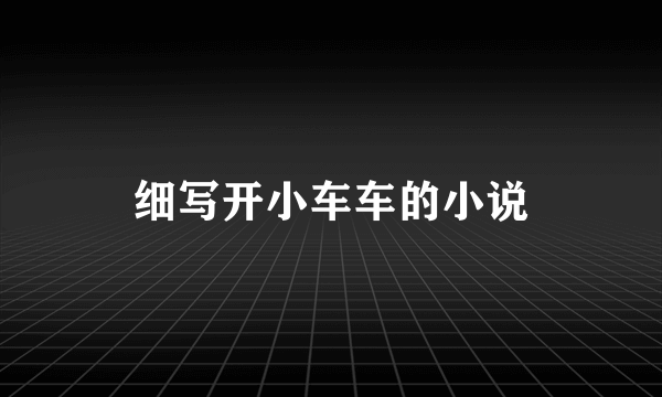 细写开小车车的小说