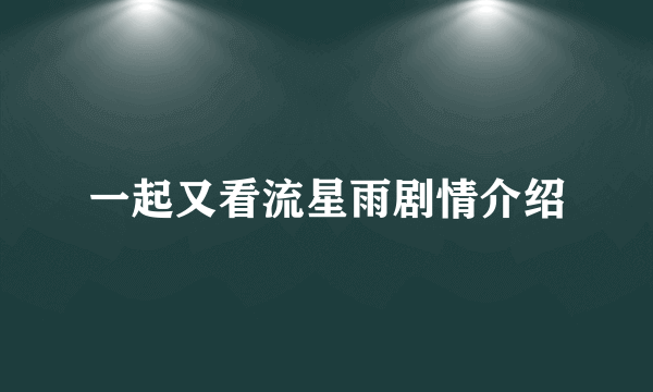 一起又看流星雨剧情介绍