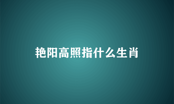 艳阳高照指什么生肖