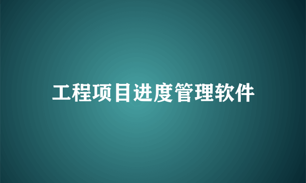 工程项目进度管理软件