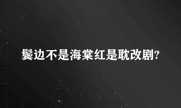 鬓边不是海棠红是耽改剧?