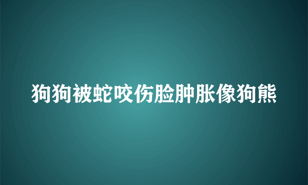 狗狗被蛇咬伤脸肿胀像狗熊