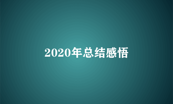 2020年总结感悟