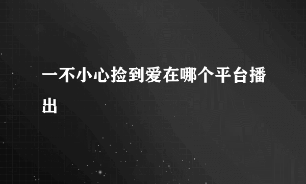 一不小心捡到爱在哪个平台播出