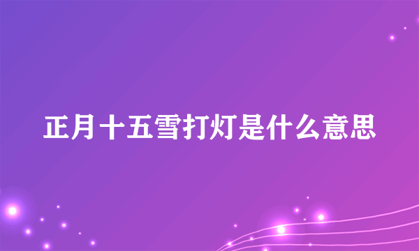 正月十五雪打灯是什么意思