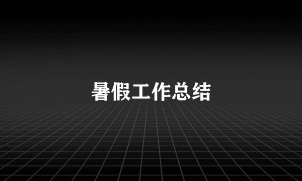 暑假工作总结