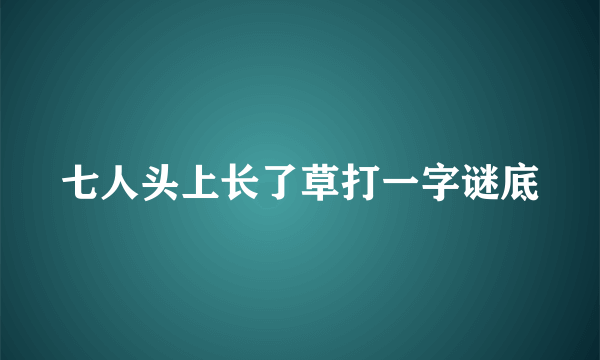 七人头上长了草打一字谜底