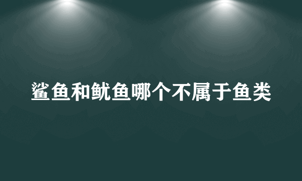 鲨鱼和鱿鱼哪个不属于鱼类