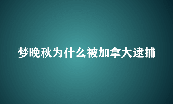 梦晚秋为什么被加拿大逮捕