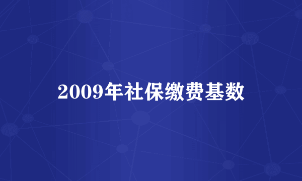 2009年社保缴费基数