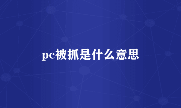 pc被抓是什么意思