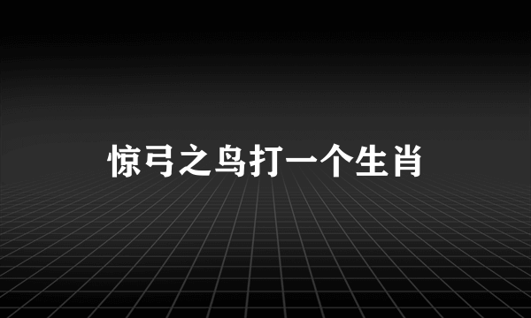 惊弓之鸟打一个生肖