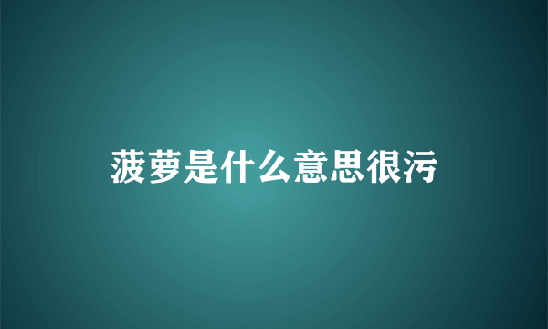 菠萝是什么意思很污