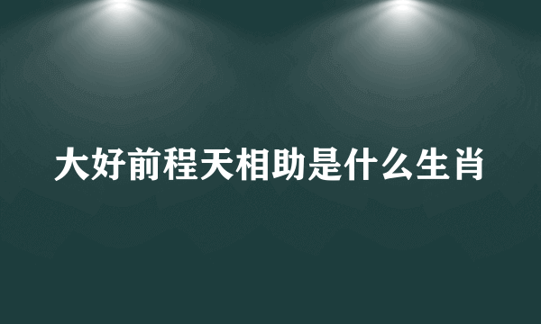 大好前程天相助是什么生肖