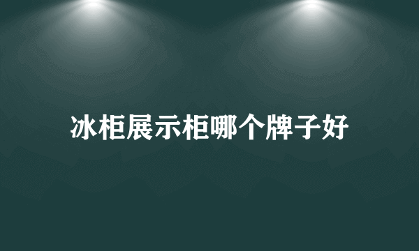 冰柜展示柜哪个牌子好