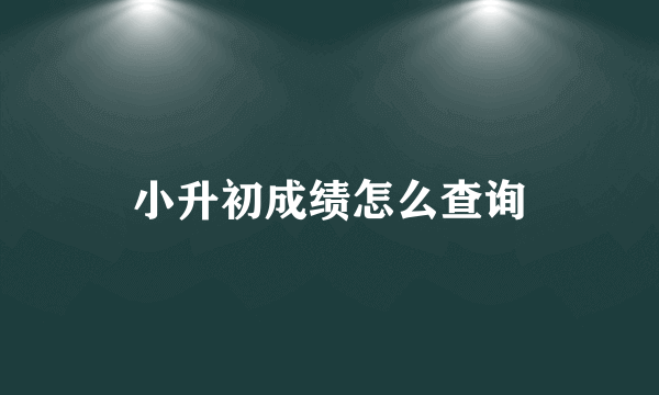 小升初成绩怎么查询