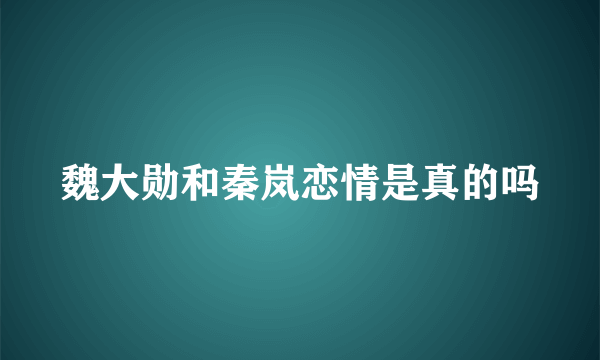 魏大勋和秦岚恋情是真的吗