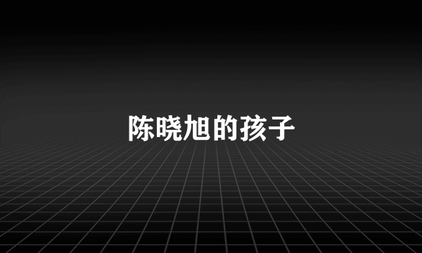 陈晓旭的孩子