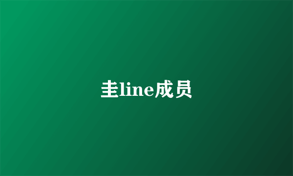 圭line成员