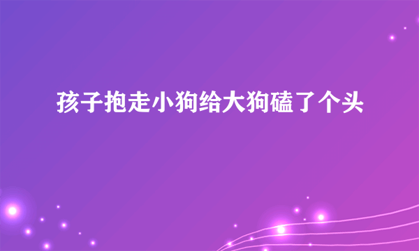 孩子抱走小狗给大狗磕了个头