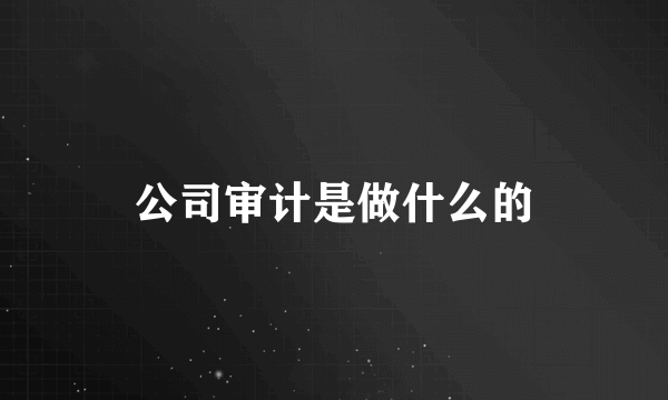 公司审计是做什么的