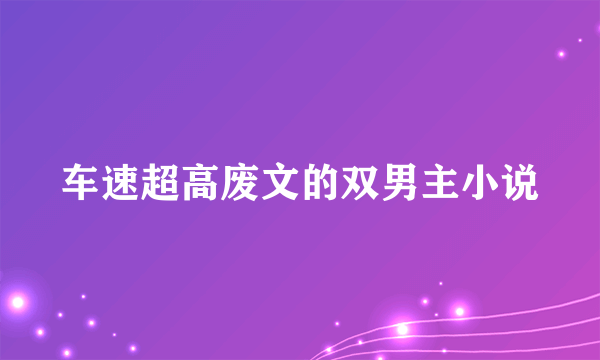 车速超高废文的双男主小说